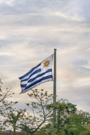 Uruguayan flag flying with almost sunset cloudy background in the flag square located in the city of Montevideoの写真素材