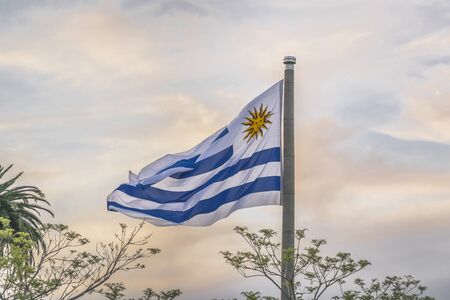 Uruguayan flag flying with almost sunset cloudy background in the flag square located in the city of Montevideoの写真素材
