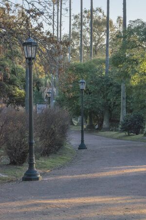 Parque Rodo park with big trees, retro lamps and earth road in the city of Montevideo, Uruguayの写真素材