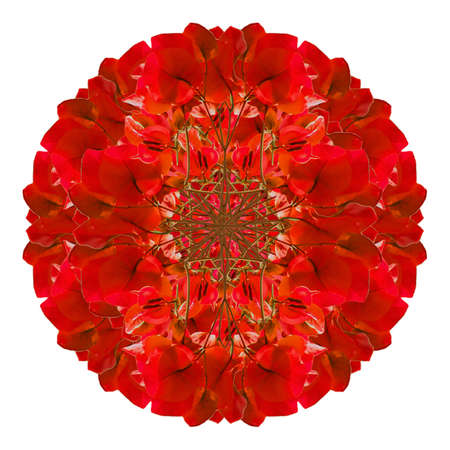 Digital collage technique rounded floral ornament in vivid red tones isolated against white backgroundの写真素材