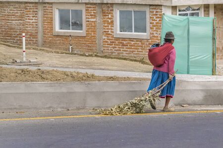 QUITO, ECUADOR, OCTOBER - 2015 - Ecuadorian indigenous adult woman with traditional clothing walking on a street in a poor village near Otavalo in Ecuador, South America.のeditorial素材