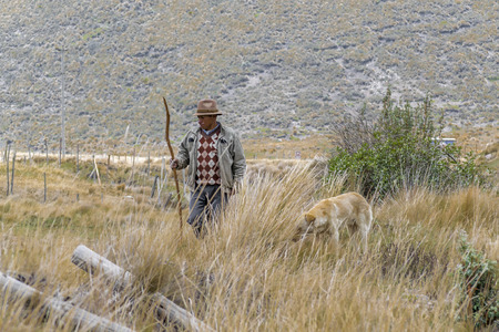 CHIMBORAZO, ECUADOR, OCTOBER -2015 - Ecuadorian indigenous aged farmer with his dog at countryside