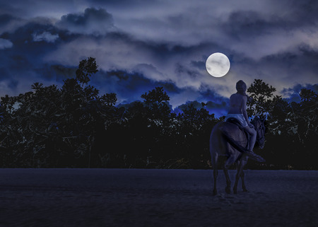 Dark moonscape photo collage dreamy scene with young woman riding a horse against tropical vegetation and moon in blue cloudy sky backgroundの写真素材