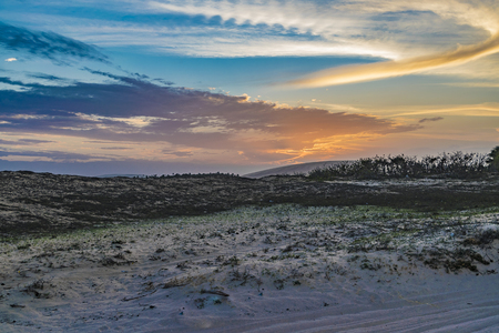 Landscape scene of dunes at sunset time in Jericoacoara National Park, Ceara, Brazilの写真素材