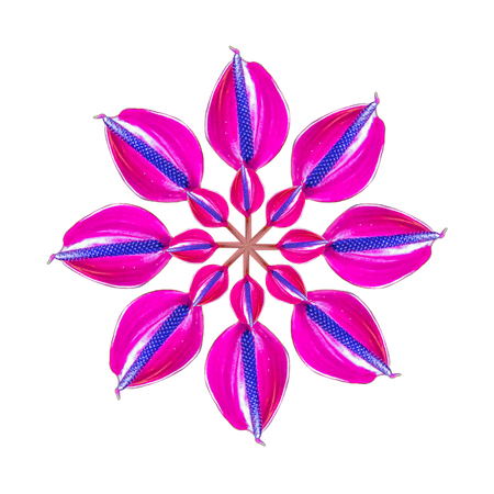 Purple orquidea photo isolated on white backgroundの写真素材