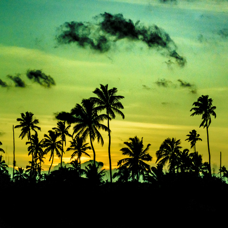 Tropical sunset landscape scene at Porto Galinhas, Brazilの写真素材