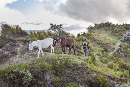 QUILOTOA, ECUADOR, FEBRAURY - 2016 - Ecuadorian native indian with his mules walking at road at border of Quilotoa lagoon, Ecuadorのeditorial素材