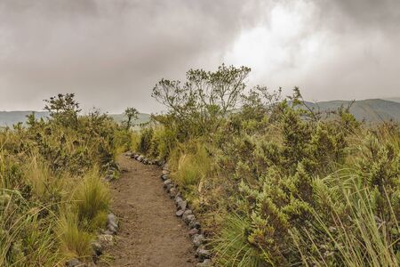 Andean landscape scene at Cotopaxi national park, Ecuadorの写真素材