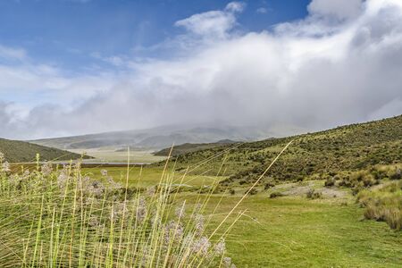 Andean landscape scene at Cotopaxi national park, Ecuadorの写真素材