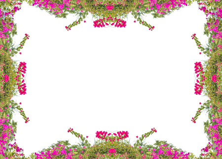 White stationery background with decorated stylized floral design bordersの写真素材