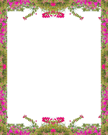 White stationery background with decorated stylized floral design bordersのeditorial素材