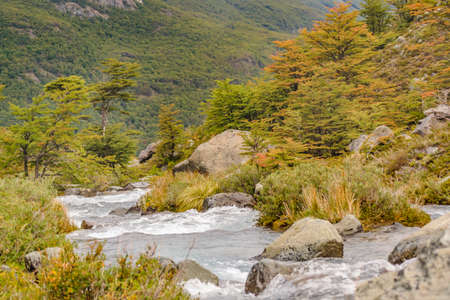 Forest and mountains landscape scene at Patagonia, Santa Cruz province, Argentinaの写真素材