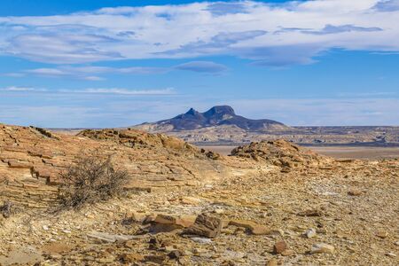 Arid patagonian environment at petrified forest national park, Santa Cruz province, Argentina