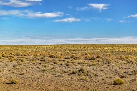 Arid patagonian environment at petrified forest national park, Santa Cruz province, Argentinaの写真素材
