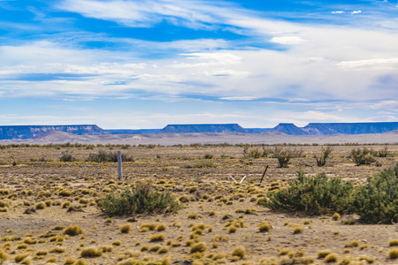 Arid patagonian environment at petrified forest national park, Santa Cruz province, Argentinaの写真素材