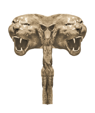 Angry feline dark sculpture heads isolated on white backgroundの写真素材