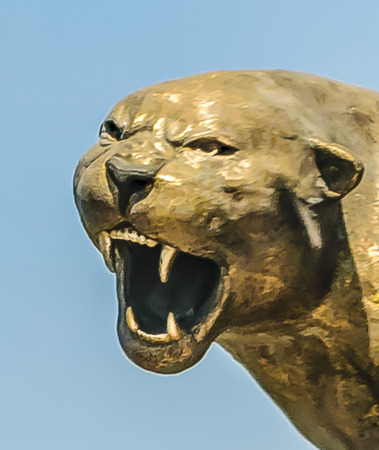 Close up view angry feline sculpture against blue sky backgroundの写真素材