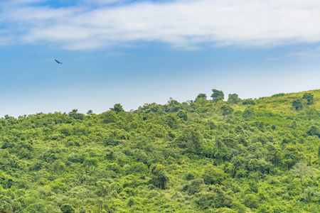 Tropical landscape scene with leafy hill and blue sky at Guayaquil outskirts, Ecuadorの写真素材