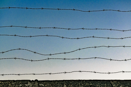 Low angle shot barbed wire detail against blue sky backgroundの写真素材