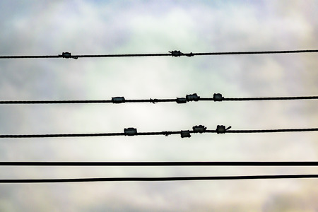 Low angle shot electric barbed wire detail against sky background