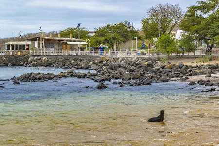 Coastal day scene at urban town in Galapagos Islands, Ecuadorのeditorial素材