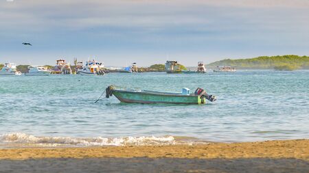 GALAPAGOS, ECUADOR, AUGUST - 2016 - Day scene at small beach at Isabela Island, Galapagos, Ecuadorのeditorial素材