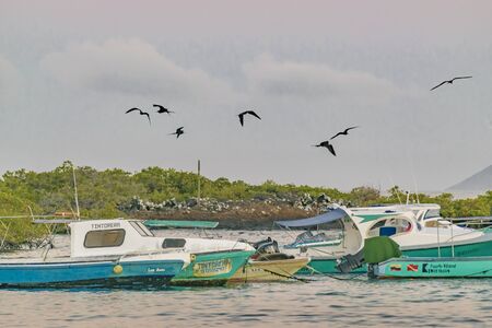 GALAPAGOS, ECUADOR, AUGUST - 2016 - Small passenger ships parked at Isabela Island, Galapagos,  Ecuadorのeditorial素材