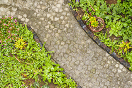 Top view of yard with patterned sidewalk and border gardenの写真素材
