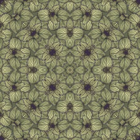 Digital photo collage and manipulation technique stylized floral motif seamless pattern mosaic design in pale cold tonesの写真素材