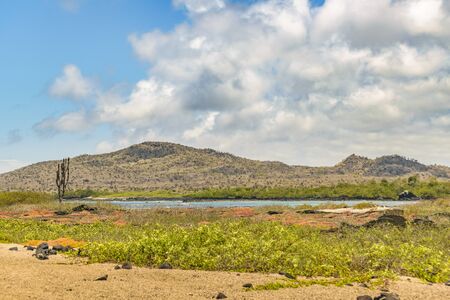 Empty tropical beach at Isabela island, Galapagos, Ecuadorの写真素材