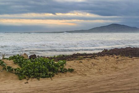 Landscape scene at empty beach in Isabela island, Galapagos, Ecuadorの写真素材