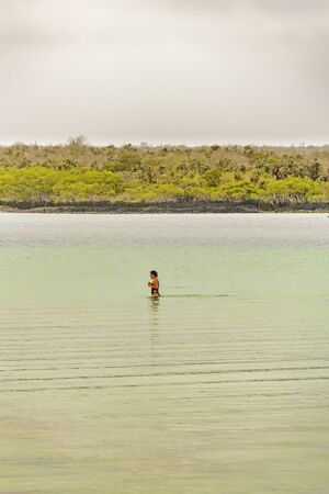 GALAPAGOS, ECUADOR, AUGUST - 2016 - People taking a bath at beach in Santa Cruz island, Galapagos, Ecuadorのeditorial素材