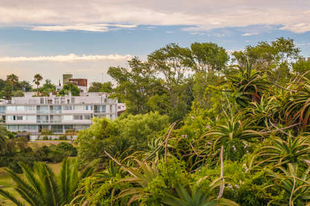 Aerial view scene of elegant neighborhood at Montevideo, Uruguayの写真素材