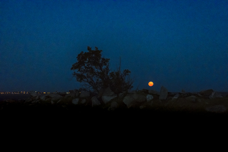 Moonscape night scene at coast in Montevideo, Uruguayの写真素材