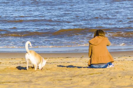 Young woman sitting at beach with his pet at winter season, Montevideo, Uruguayの写真素材