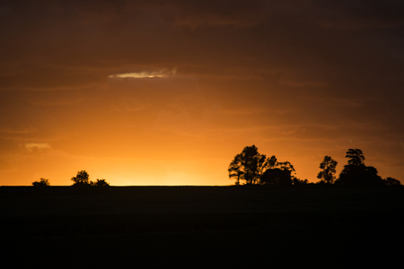 High contrast photo meadow sunset landscape scene at Uruguayの写真素材