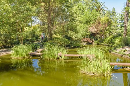 MONTEVIDEO, URUGUAY, MARCH - 2016 - Pond and leafy environment at japanese garden of Montevideoのeditorial素材