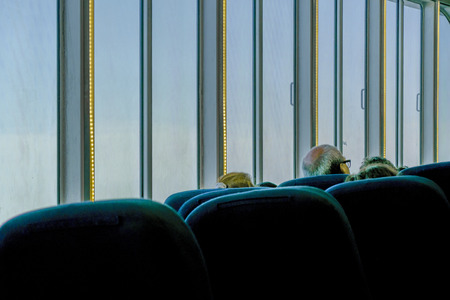 Perspective view of ferry chairs with few people sit.の写真素材