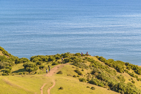Aerial coastal landscape scene at chiloe island, chileの写真素材