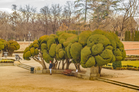 MADRID, SPAIN, DECEMBER - 2017 - El Retiro historic gaden park, the biggest attraction park of Madrid city, Spainのeditorial素材