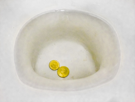 Conceptual economic of financial image with two coins at bottom of toilet flushingの写真素材