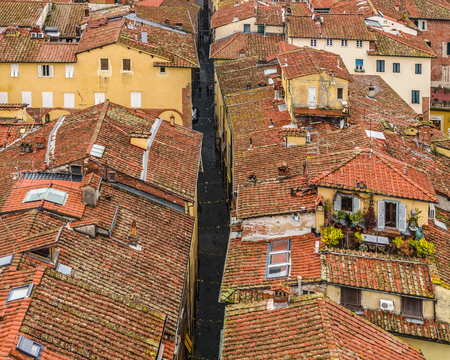 Aerial view of historic center of lucca city from torre guinigi viewpointのeditorial素材