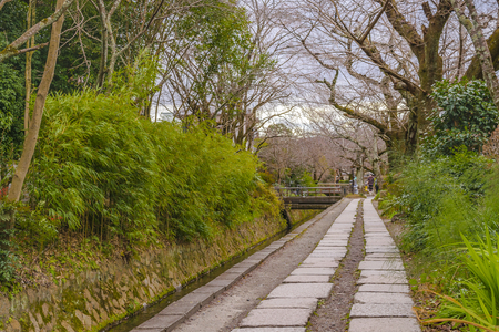 KYOTO, JAPAN, JANUARY - 2019 - Beautiful street winter scene at famous philosopher path, kyoto, japanのeditorial素材