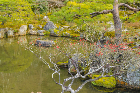 KYOTO, JAPAN, JANUARY - 2019 - Beautiful japanese garden at famous ginkakuji zen temple at Kyoto city, japanのeditorial素材