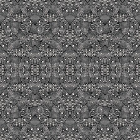Unique fancy ornate nature leaves collage motif abstract seamless pattern design in dark grey colorsの写真素材