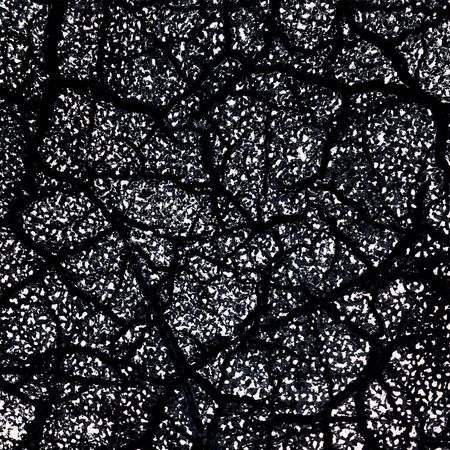 Abstract cracked texture surface in black and white colorsの写真素材