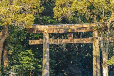 Wooden tori gate at entrance park in harajuku, tokyo, japanの写真素材