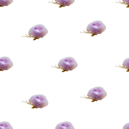 Medusas photo motif seamless pattern background in violet and white colorsの写真素材
