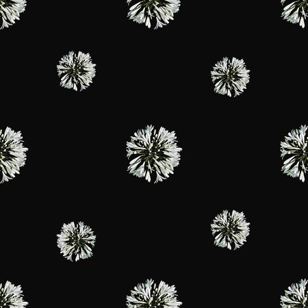 Simple black and white radial floral motif seamless pattern design
