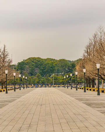 TOKYO, JAPAN, JANUARY - 2019 - Empty sidewalk park winter urban scene at chiyoda district, tokyo, japanのeditorial素材